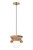 Canarm - IPL2153B01NA - One Light Pendant - Kali - Black