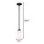Portia One Light Pendant (IPL326A01BK)