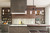 Albany Four Light Pendant (IPL679A04ORB)