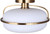 Eve One Light Semi Flush Mount (ISF2190B01GD)