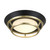 manufacturer_finish:Coal And Satin Brass|light_output:1174.10lm