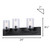 Hampton Three Light Vanity (IVL370A03BK-CL)