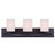 Hampton Three Light Vanity (IVL370A03ORB-O)