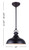 Sussex LED Pendant (LPL103A01BK)