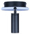 Denver LED Track/Wall Light (LT314A03BK)