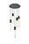 Elegant Lighting - 2089D20BK - Five Light Chandelier - Aurora - Black and Clear