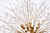 Solace 12 Light Pendant (3507D24G)