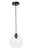 Elegant Lighting - LD2281 - One Light Pendant - Cashel - Black and Clear glass