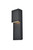 Raine LED Outdoor Wall Lamp (LDOD4001BK)