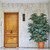 Raine LED Outdoor Wall Lamp (LDOD4001BK)