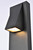 Raine LED Outdoor Wall Lamp (LDOD4006BK)