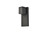 Raine LED Outdoor Wall Lamp (LDOD4007BK)