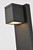 Raine LED Outdoor Wall Lamp (LDOD4007BK)