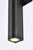 Raine LED Outdoor Wall Lamp (LDOD4008BK)