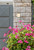 Raine LED Outdoor Wall Lamp (LDOD4009S)