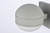 Raine LED Outdoor Wall Lamp (LDOD4011S)