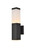Raine LED Outdoor Wall Lamp (LDOD4021BK)