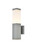 Raine LED Outdoor Wall Lamp (LDOD4021S)