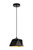 Elegant Lighting - LDPD2079 - One Light Pendant - Arden - black and Golden inside