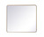 Elegant Lighting - MR803640BR - Mirror - Evermore - Brass