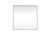 Elegant Lighting - MR804848BR - Mirror - Evermore - Brass
