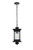 Elegant Lighting - OD316H18BK - One Light Outdoor Pendant - Collins - Black