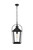 Elegant Lighting - OD605H20BK - One Light Outdoor Pendant - Luz - Black and Clear