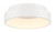 manufacturer_finish:Matte White|light_output:1608.40lm
