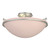 manufacturer_finish:Vintage Platinum|manufacturer_glass:Sand Glass (SS)|light_source:Incandescent