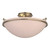 manufacturer_finish:Soft Gold|manufacturer_glass:Sand Glass (SS)|light_source:Incandescent