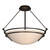 manufacturer_finish:Oil Rubbed Bronze|manufacturer_glass:Sand Glass (SS)|light_source:Unspecified
