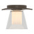 manufacturer_finish:Bronze|manufacturer_glass:Clear Glass with Opal Diffuser (ZU)|light_source:Incandescent|voltage:120.00V