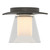 manufacturer_finish:Dark Smoke|manufacturer_glass:Clear Glass with Opal Diffuser (ZU)|light_source:Incandescent|voltage:120.00V