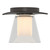 manufacturer_finish:Oil Rubbed Bronze|manufacturer_glass:Clear Glass with Opal Diffuser (ZU)|light_source:Unspecified|voltage:Unspecified