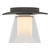 manufacturer_finish:Natural Iron|manufacturer_glass:Clear Glass with Opal Diffuser (ZU)|light_source:Incandescent|voltage:120.00V
