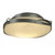 manufacturer_finish:Vintage Platinum|light_source:Incandescent|voltage:120.00V