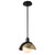 manufacturer_finish:Oil Rubbed Bronze