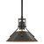 manufacturer_finish:Oil Rubbed Bronze