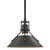 manufacturer_finish:Oil Rubbed Bronze