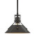 manufacturer_finish:Oil Rubbed Bronze