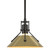 manufacturer_finish:Oil Rubbed Bronze