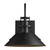 manufacturer_finish:Coastal Black|light_source:Unspecified