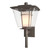 manufacturer_finish:Coastal Dark Smoke|light_source:Incandescent|color_temperature:2700K|cri:80|voltage:120.00V