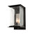 manufacturer_finish:Coastal Black|light_source:Unspecified