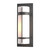 manufacturer_finish:Coastal Natural Iron|light_source:Incandescent|color_temperature:2700K|cri:80|voltage:120.00V