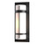 manufacturer_finish:Coastal Black|light_source:Unspecified|color_temperature:2700K|cri:80|voltage:Unspecified