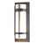 manufacturer_finish:Coastal Natural Iron|light_source:Incandescent|color_temperature:2700K|cri:80|voltage:120.00V