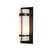 manufacturer_finish:Coastal Black|light_source:Unspecified|color_temperature:2700K|cri:80|voltage:Unspecified