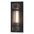 manufacturer_finish:Coastal Black|light_source:Unspecified