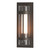 manufacturer_finish:Coastal Dark Smoke|light_source:Incandescent